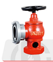 SNZ65-Y Reel Hydrant